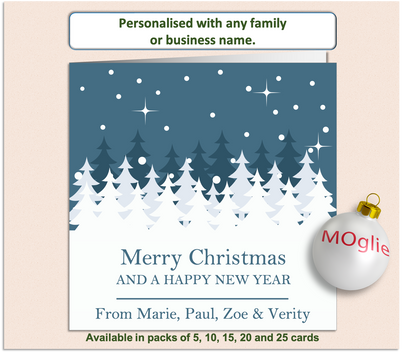 Personalised Christmas Xmas card with any family name, club, work or business - GEN8